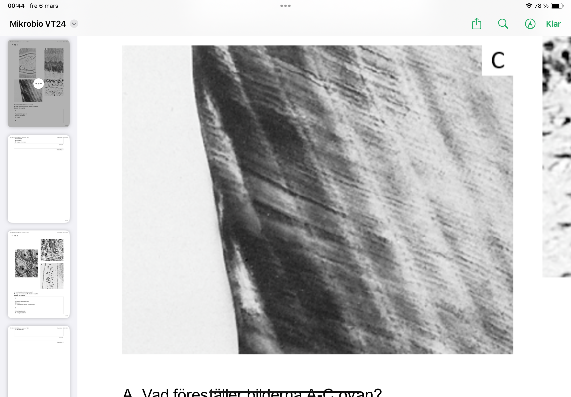 term image