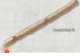<p>Rod-shaped bacteria that occurs in chains</p>