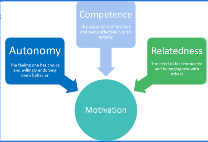 <ul><li><p><span style="font-family: &quot;Twentieth Century&quot;, sans-serif">Suggests that people are motivated to grow and change by three innate and universal psychological needs.</span></p></li><li><p><span style="font-family: &quot;Twentieth Century&quot;, sans-serif">People are able to become self-determined when needs for competence, connection/relatedness and autonomy fulfilled.&nbsp;</span></p></li></ul><p><span style="font-family: &quot;Twentieth Century&quot;, sans-serif"><strong>Competence:</strong></span></p><ul><li><p><span style="font-family: &quot;Twentieth Century&quot;, sans-serif">Sufficient qualities to perform a given task or to describe the state of having sufficient intellect, judgement, skill and strength.</span></p></li><li><p><span style="font-family: &quot;Twentieth Century&quot;, sans-serif">When you are competent, you are able to interact effectively within their environment – environmental mastery.</span></p></li></ul><p><span style="font-family: &quot;Twentieth Century&quot;, sans-serif"><strong>Relatedness:</strong></span></p><ul><li><p><span style="font-family: &quot;Twentieth Century&quot;, sans-serif">Sense of belonging to a social group.&nbsp;</span></p></li></ul><p><span style="font-family: &quot;Twentieth Century&quot;, sans-serif"><strong>Autonomy:</strong></span></p><ul><li><p><span style="font-family: &quot;Twentieth Century&quot;, sans-serif">Able to have choice and govern own behaviour.</span></p></li></ul><p></p>