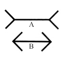 <p>(illusions)</p><ul><li><p><span>line a is perceived as longer than line b even though both lines are equal&nbsp;</span></p></li><li><p><span>experienced even by children and some studies suggest animals</span></p></li></ul>