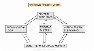 <p>A theoretical framework developed by<mark data-color="red" style="background-color: red; color: inherit"> Baddeley and Hitch (1974)</mark> that describes the structure and function of working memory. It divides working memory into multiple components, including the <mark data-color="yellow" style="background-color: yellow; color: inherit">phonological loop, visuospatial sketchpad, and central executive</mark>, to explain how information is temporarily held and manipulated.</p>