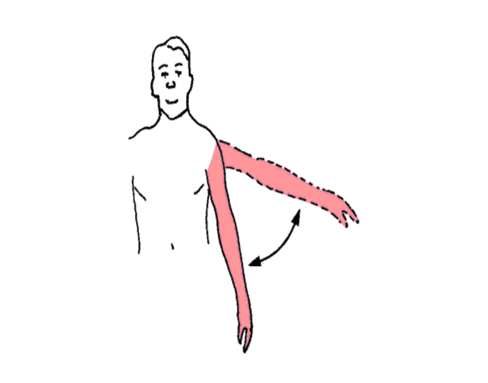 <p>What movement is this?</p>