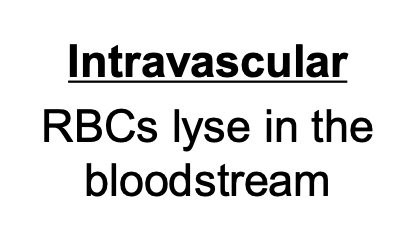 <p>RBCs lyse in the bloodstream</p><p>will see hemoglobinemia and subsequent hemoglobinuria</p>