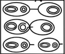 <p>What sexual reproduction strategy is this? </p>