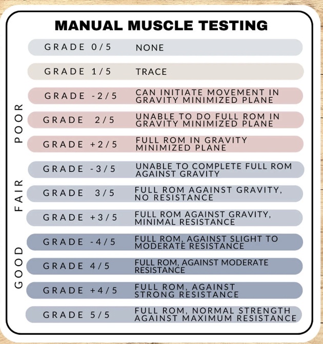 <p>-push against patient</p><p>-Benefits: clinical populations, an option</p><p>-Limitations: very subjective, different ratings between practitioners; lot of athletes=5</p>