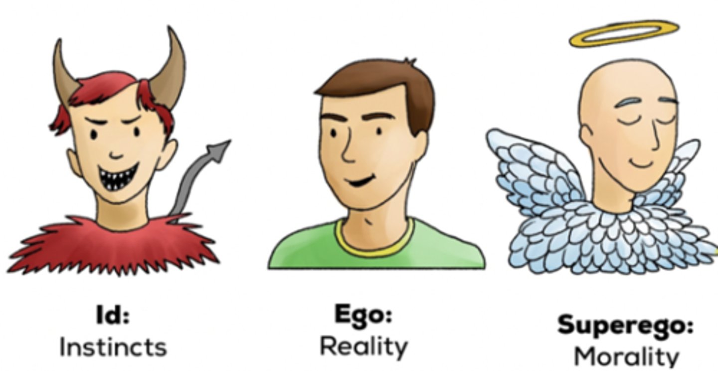 <p>The core functions of the mind are carried out by three related systems: the ego, id, and superego</p>