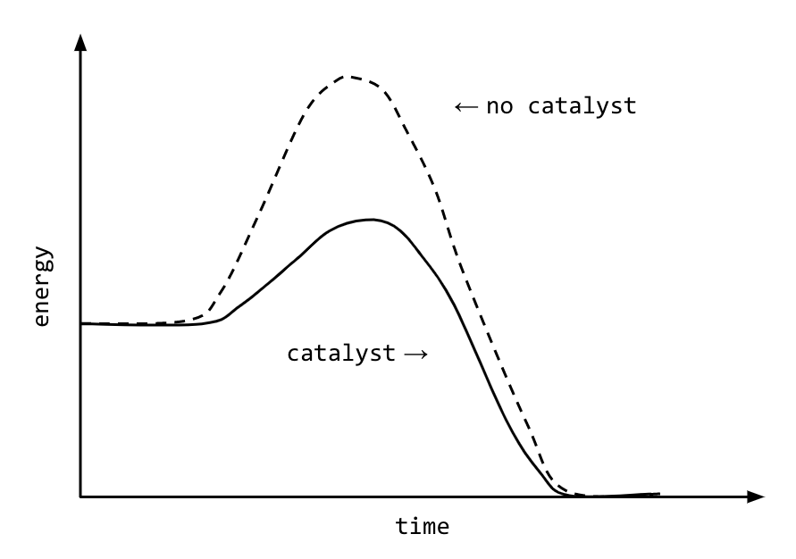 <p>They decrease the activation energy and provide an alternate reaction pathway that requires a lower activation energy.</p>
