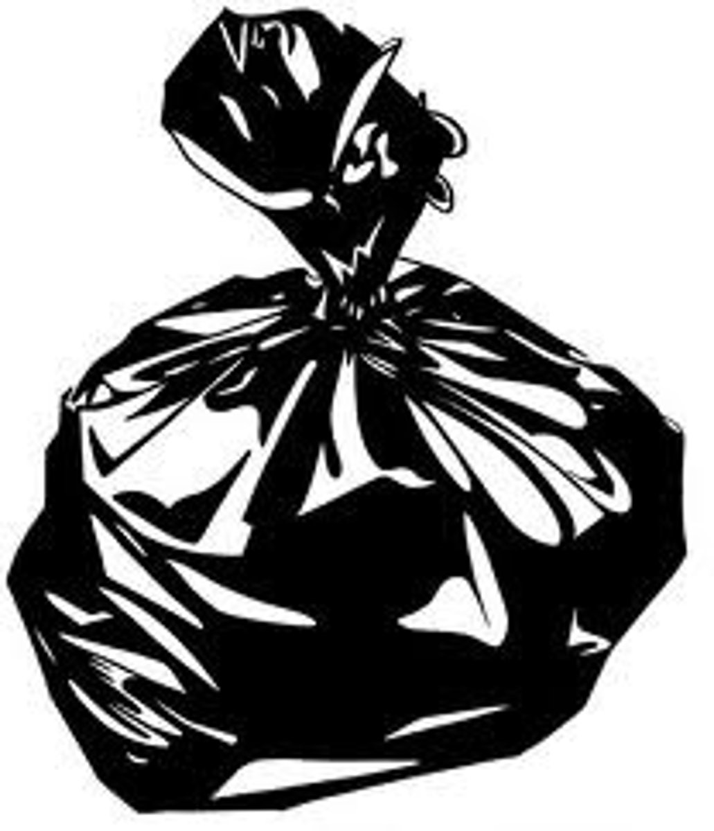 <p>trash bag</p>