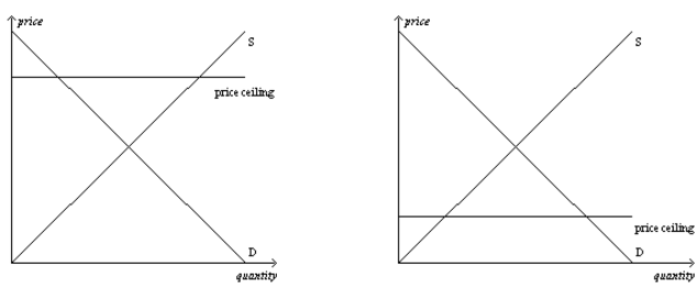 <p>panel (b) only</p>