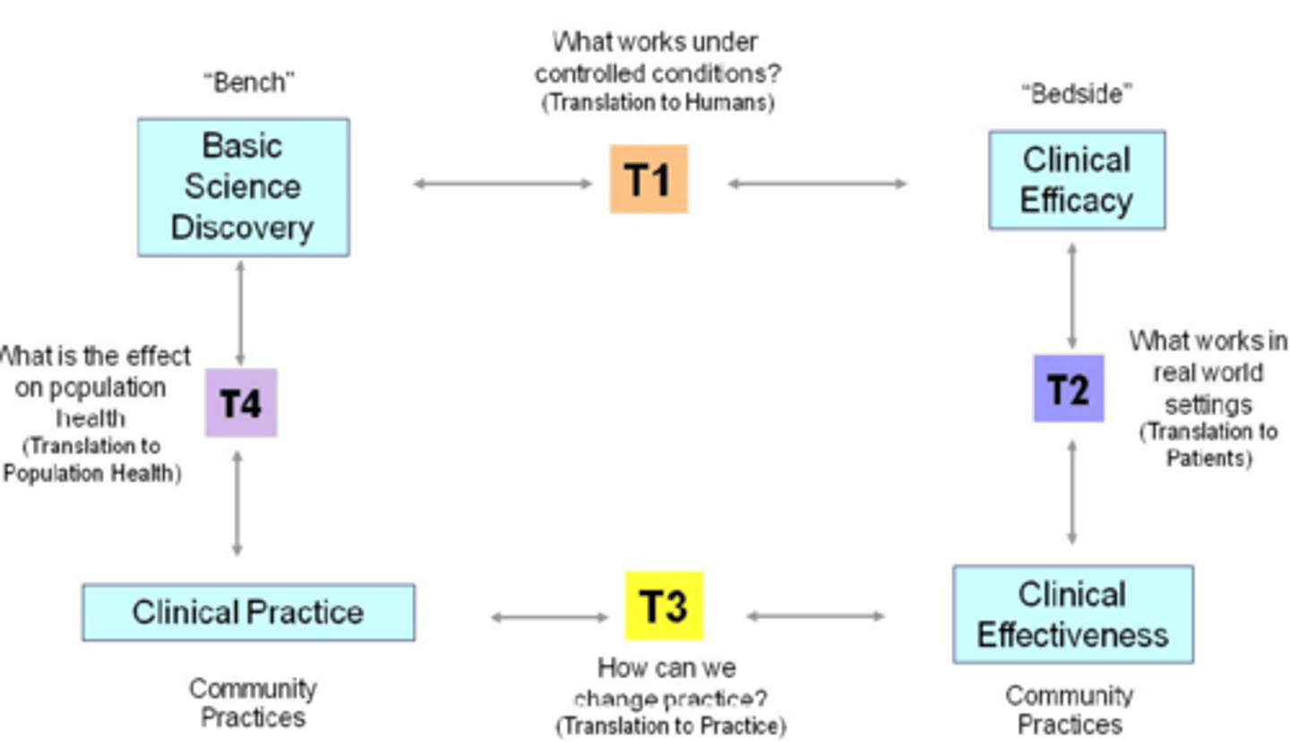 <p>Builds on knowledge from basic and applied research and is always conducted on live animals, including humans. Studies health and disease of humans.</p>