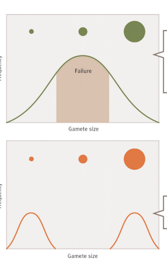 <p>What’s the main message?</p>