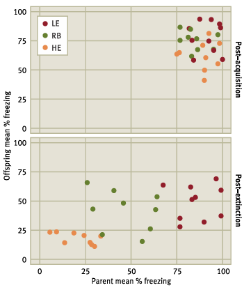 <p>What’s the main message?</p>