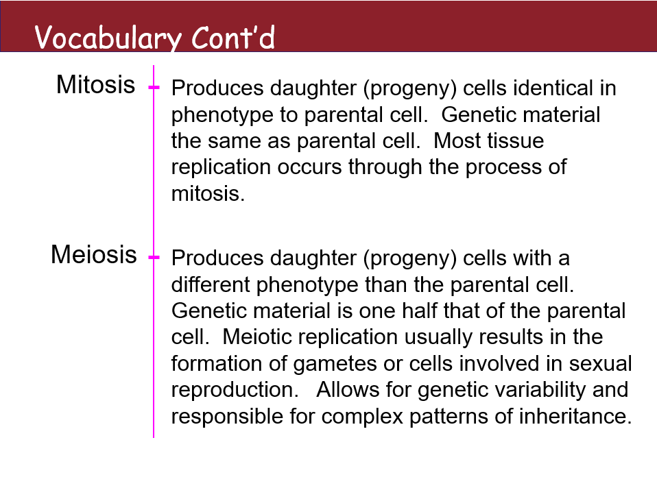 <p><strong>Mitosis</strong></p><ul><li><p>Produces daughter (progeny) cells identical in phenotype to parental cells. Genetic material is the same as the parental cell. Most tissue replication occurs through the process of mitosis.</p></li></ul><p><strong>Meiosis</strong></p><ul><li><p>Produces daughter (progeny) cells with a different phenotype than the parental cell. Genetic material is one half that of the parental cell. Meiotic replication usually results in the formation of gametes or cells involved in sexual reproduction. Allows for genetic variability and is responsible for complex patterns of inheritance.</p></li></ul><p></p>