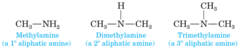 <p>Primary, Secondary, or Tertiary</p>