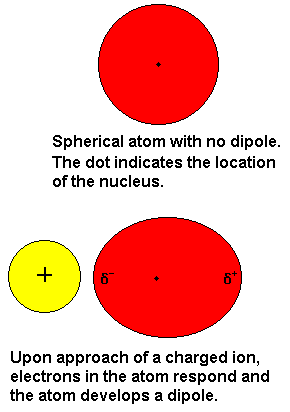 <p>Ion-Induced Dipole</p>