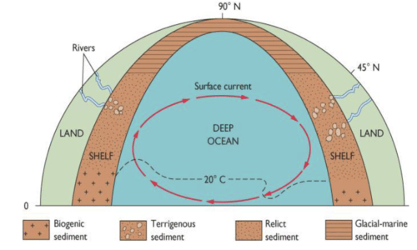 <p>Tropical: calcareous</p><p>Temperate: terrigenous</p><p>Polar: till and ice-rafted sediments</p>