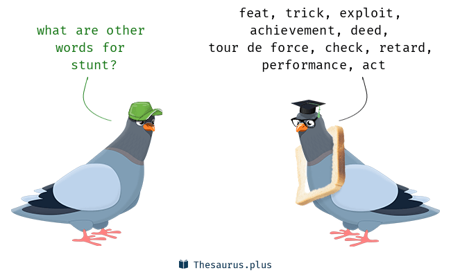 <p><span style="background-color: transparent;">stunt</span></p>