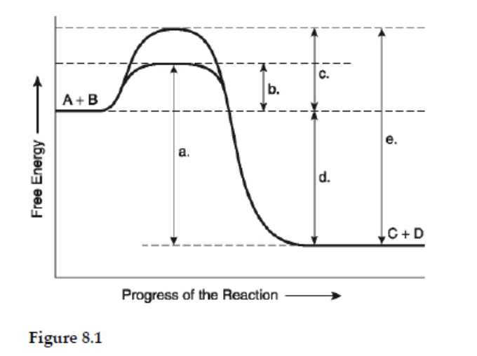 <p>Which of the following represents the activation energy required for the enzyme –catalyzed reaction in Figure 8.1?</p>