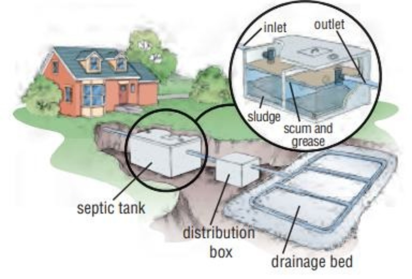 <p>Includes tank and drainage bed for waste.</p>