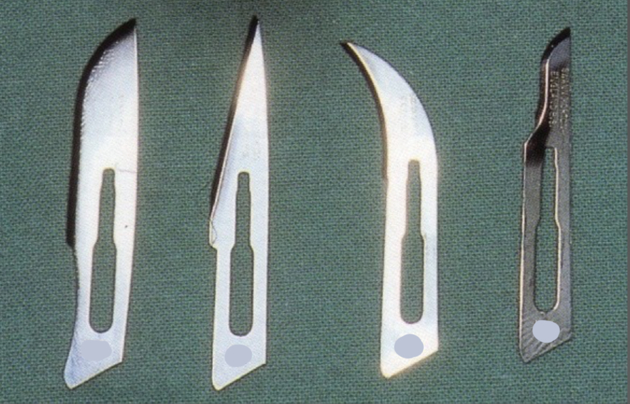 <p>10, 11, 12, 15</p><p>10, 15- curved</p><p>11- straight&nbsp;</p><p>12- hooked&nbsp;</p>