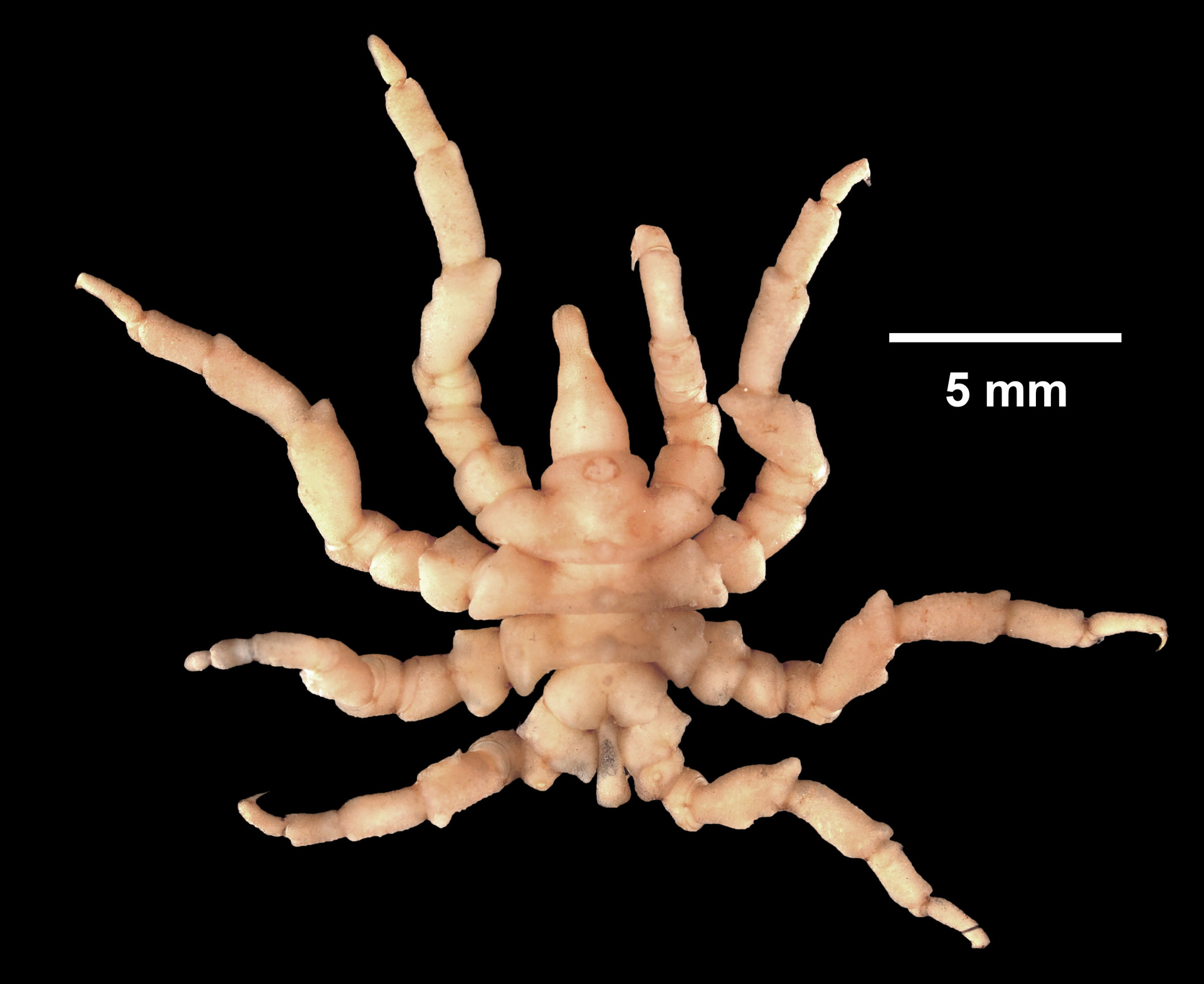 <img src="https://knowt-user-attachments.s3.amazonaws.com/4269c4bc-8635-4d86-a232-585faed94a7c.webp" data-width="100%" data-align="center"><p></p>