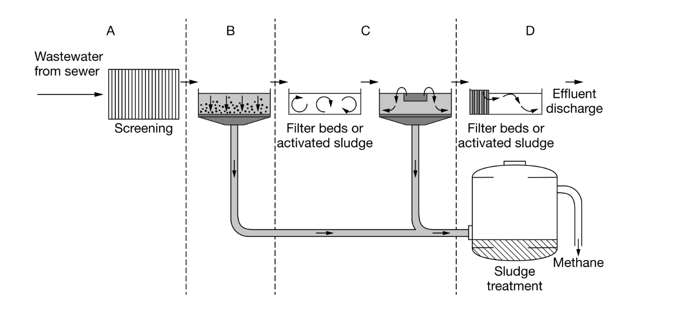 <p><span>Based on the diagram, organic solids that have settled to the bottom of the treatment tanks in step B are transferred to which of the following for further processing?</span></p>