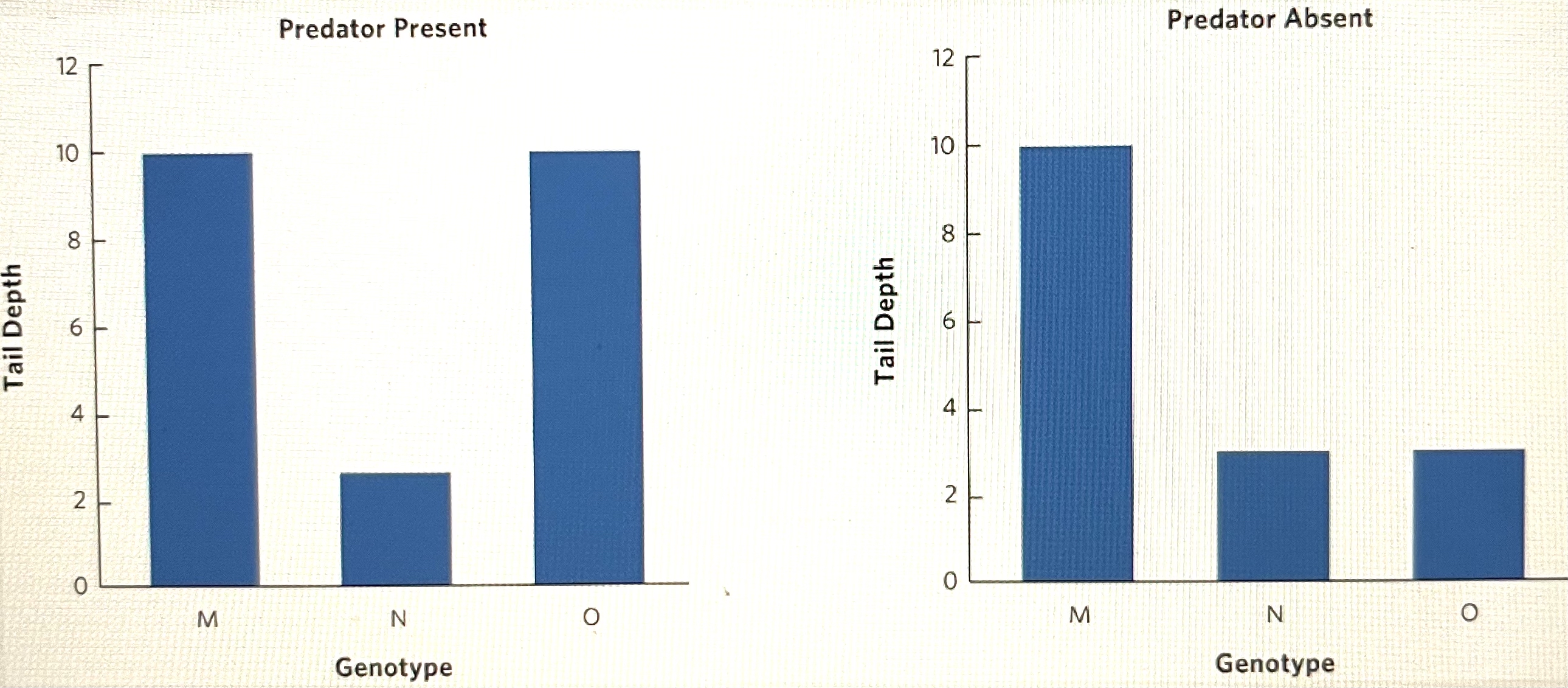This figure shows the tail shape developed by three tadpole genotypes (M, N, and O) when raised in an environment with an environment with predators and an environment without predators. In the presence of predators, tadpoles with large tails have high fitness and tadpoles with small tails have low fitness. When predators are not present, tadpoles with large tails have low fitness and tadpoles with small tails have high fitness.

Which genotype(s) exhibit(s) phenotypic plasticity in response to predators?