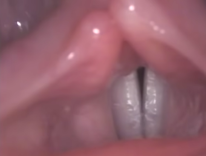 <p>What is this?</p>