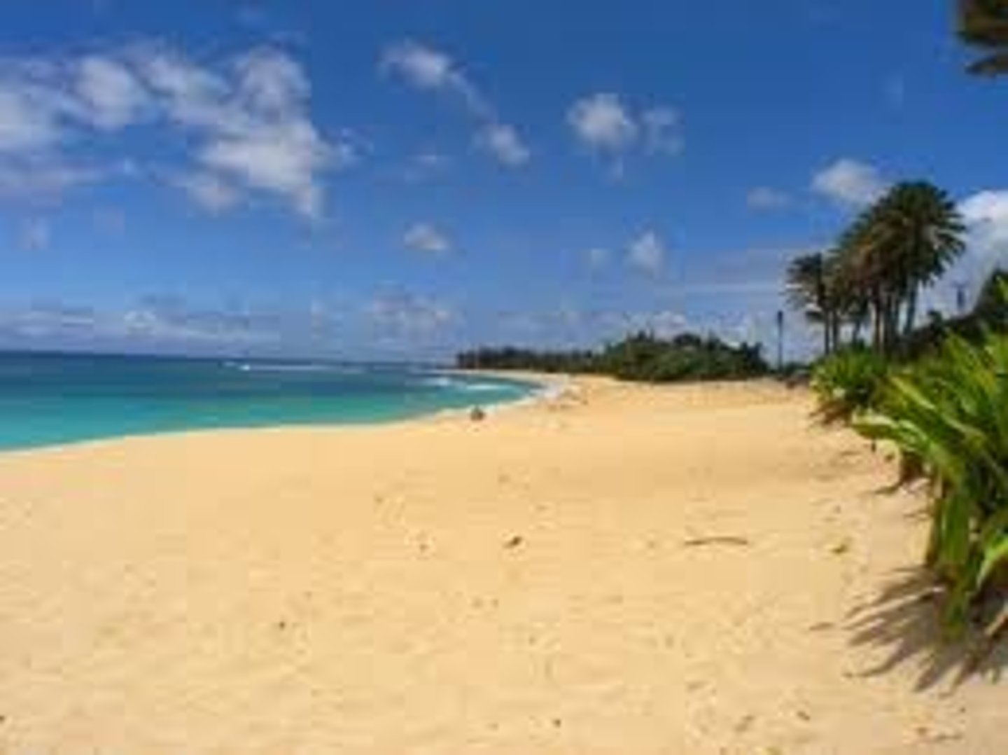 <p>the beach</p>