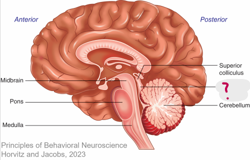 <p>What is this </p>