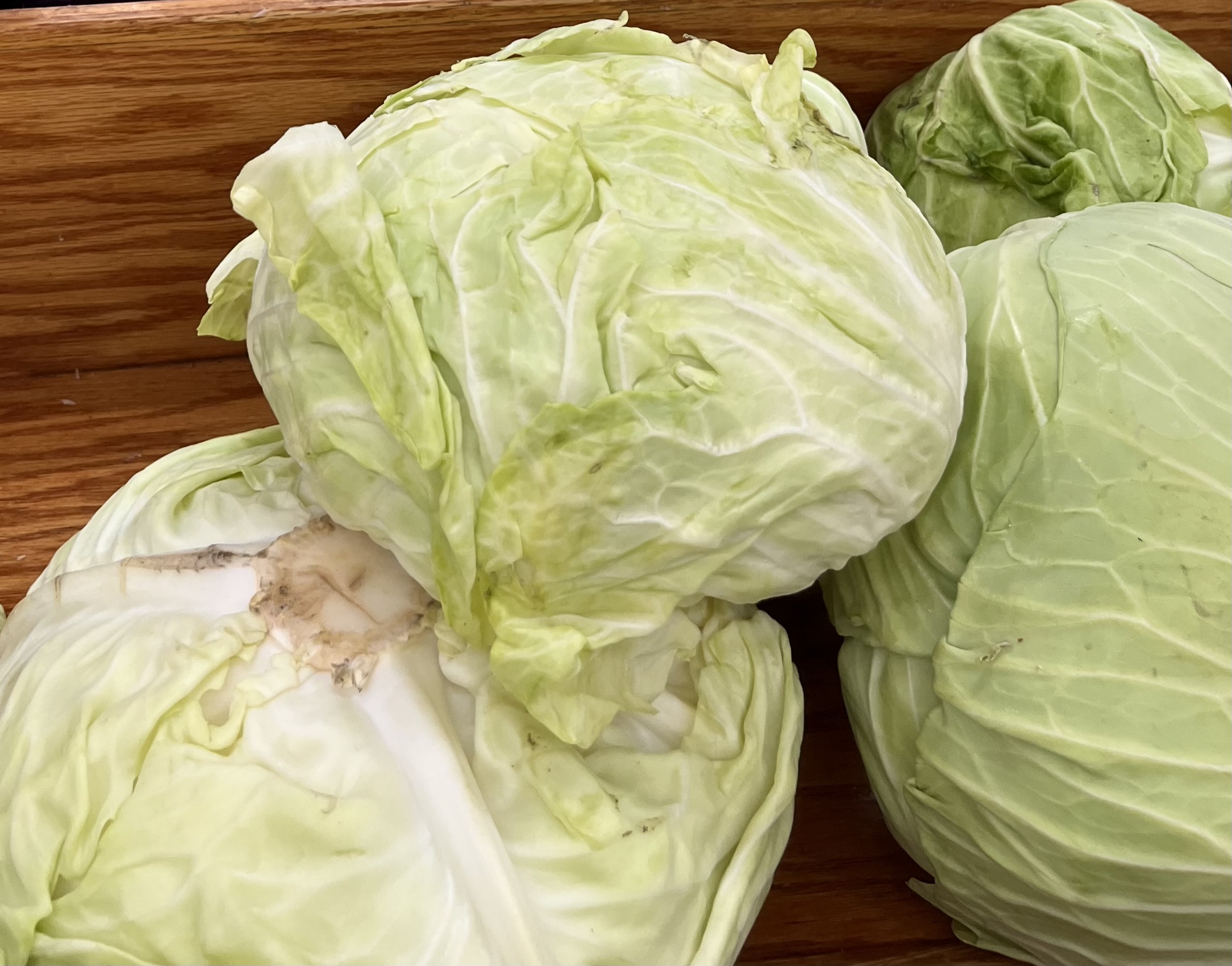 <p>KO LI CABBAGE</p>