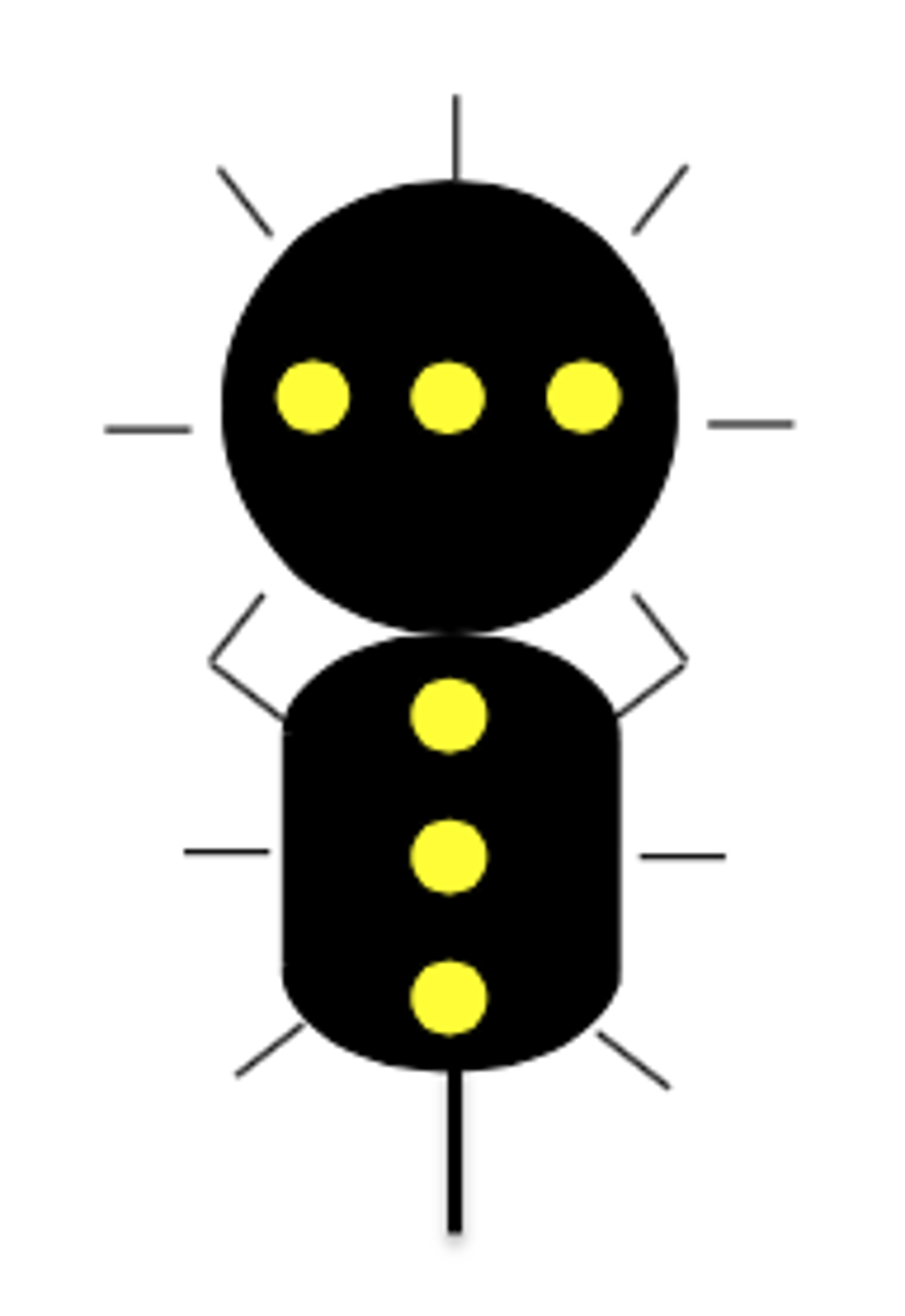 knowt flashcard image