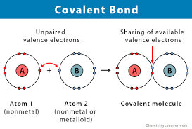 <p>A bond formed when two atoms share electrons.</p>