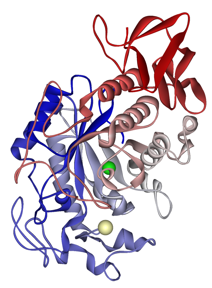 <p>explain the secondary structure of this protein molecule (3)</p>
