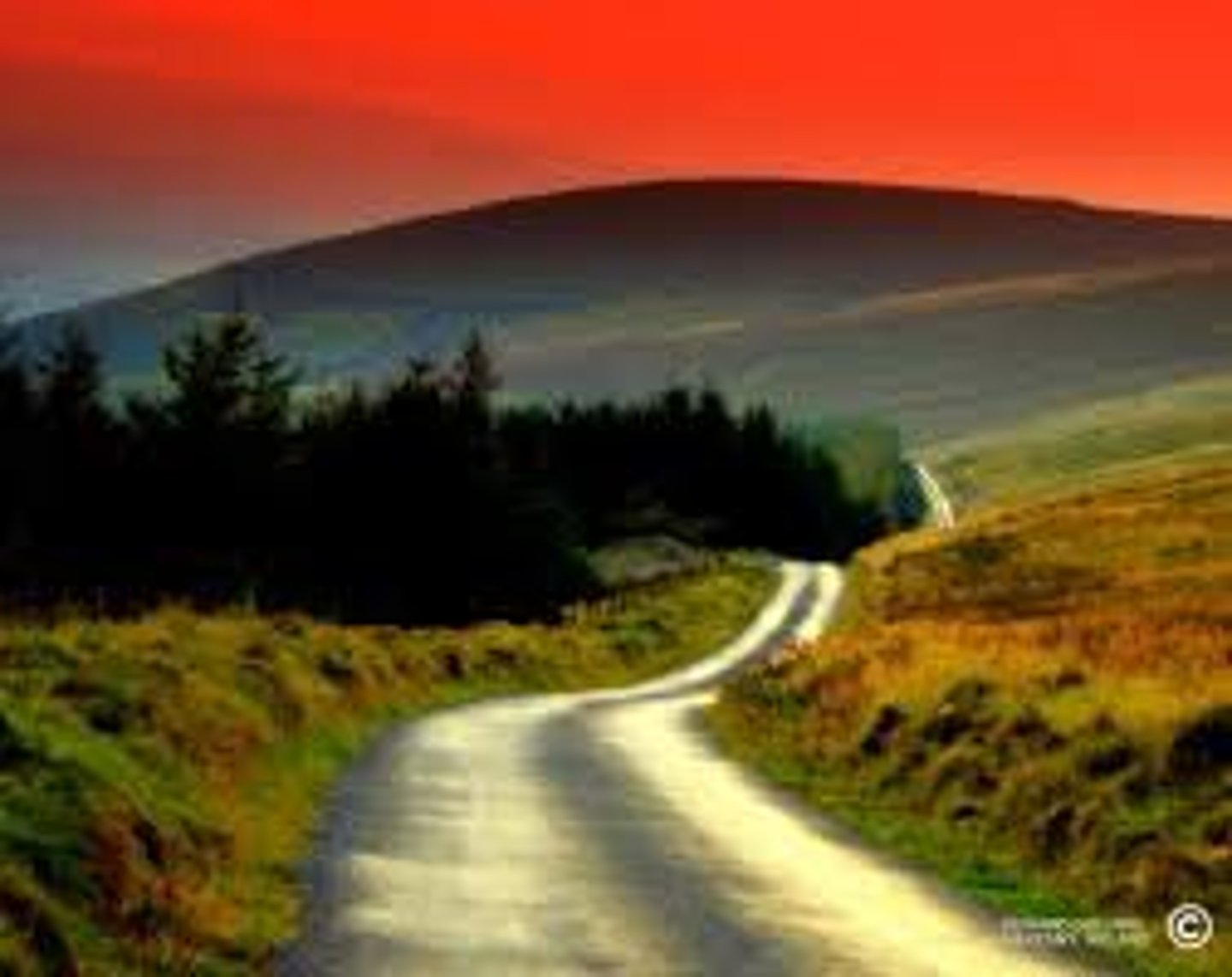 <p>trip / journey</p>