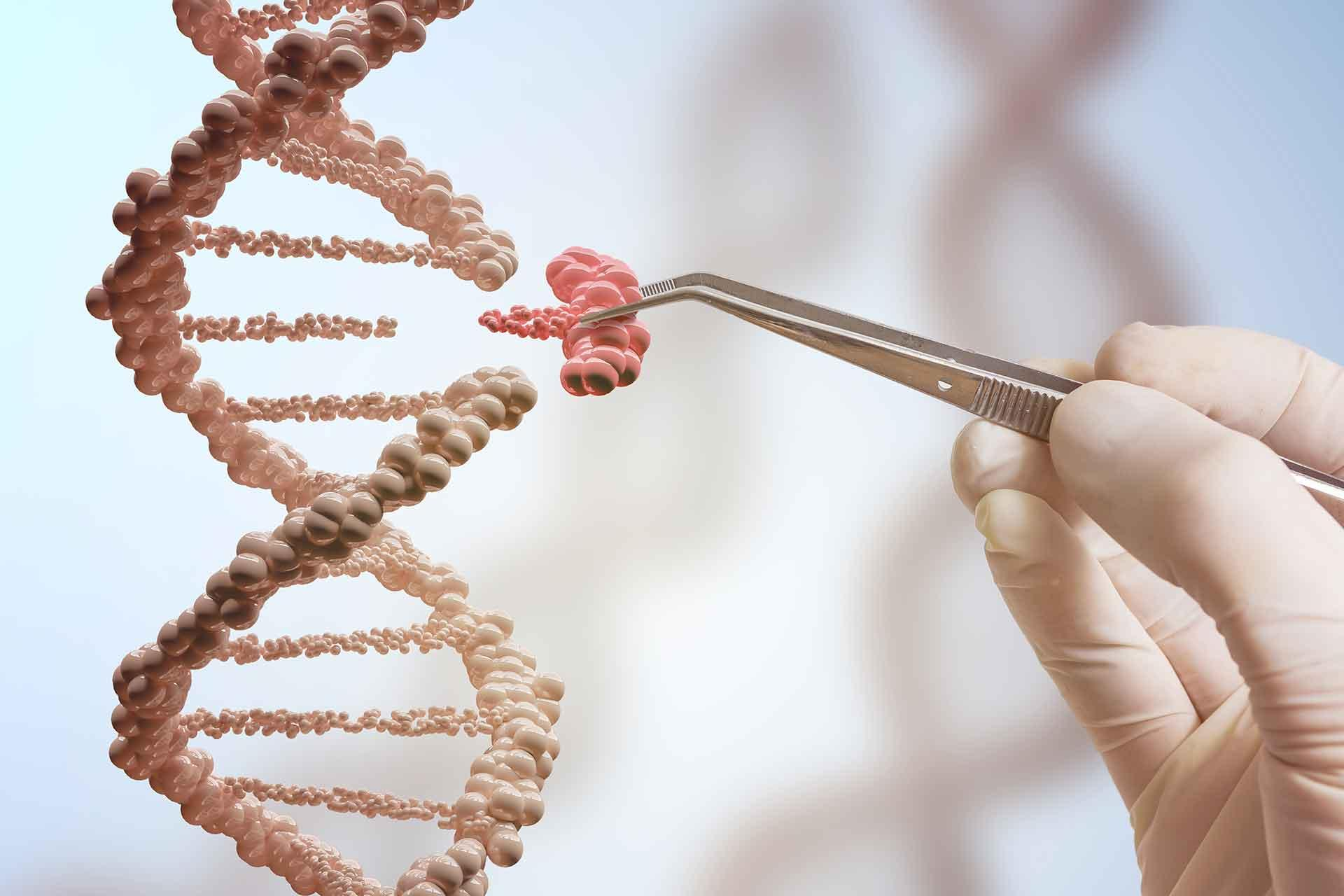<p><span>&nbsp;</span>What is genetic engineering?</p>