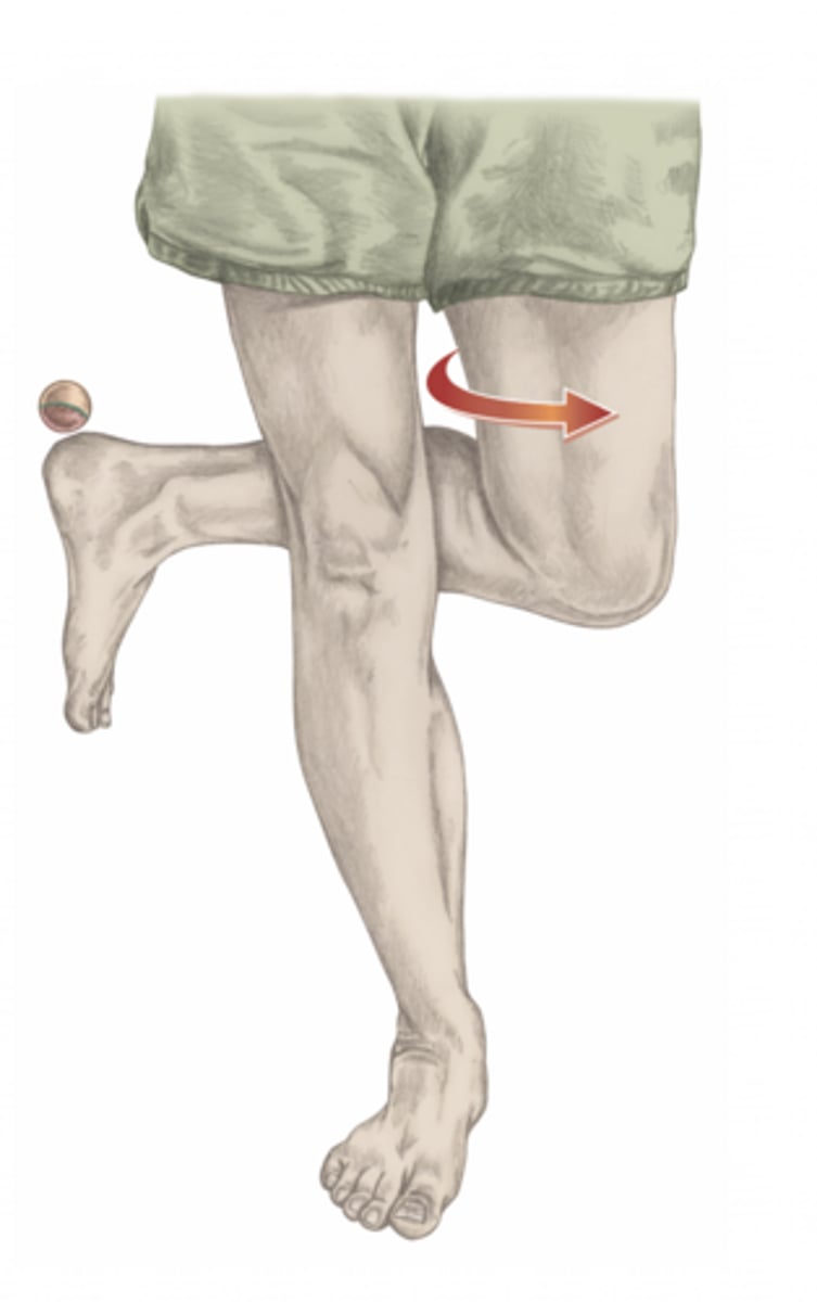 <p>please identify the movement and its location</p>