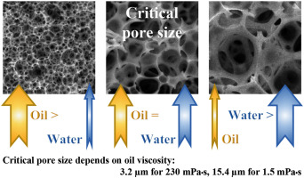 <p>Poly(styrene-co-divinylbenzene) Media:</p><p>Effect of Porogenic Solvent on Pore Size</p>