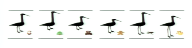 <p>we can ‘navigate’ a 2D space of bird shapes in which the leg length and the neck length varies</p><ul><li><p>changing just neck length means only navigating one direction in 2D space</p></li><li><p>changing neck and leg length means travelling at a 45 degree angle in the 2D space</p></li></ul><p>this is similar to navigation in a physical/virtual 2D space</p>
