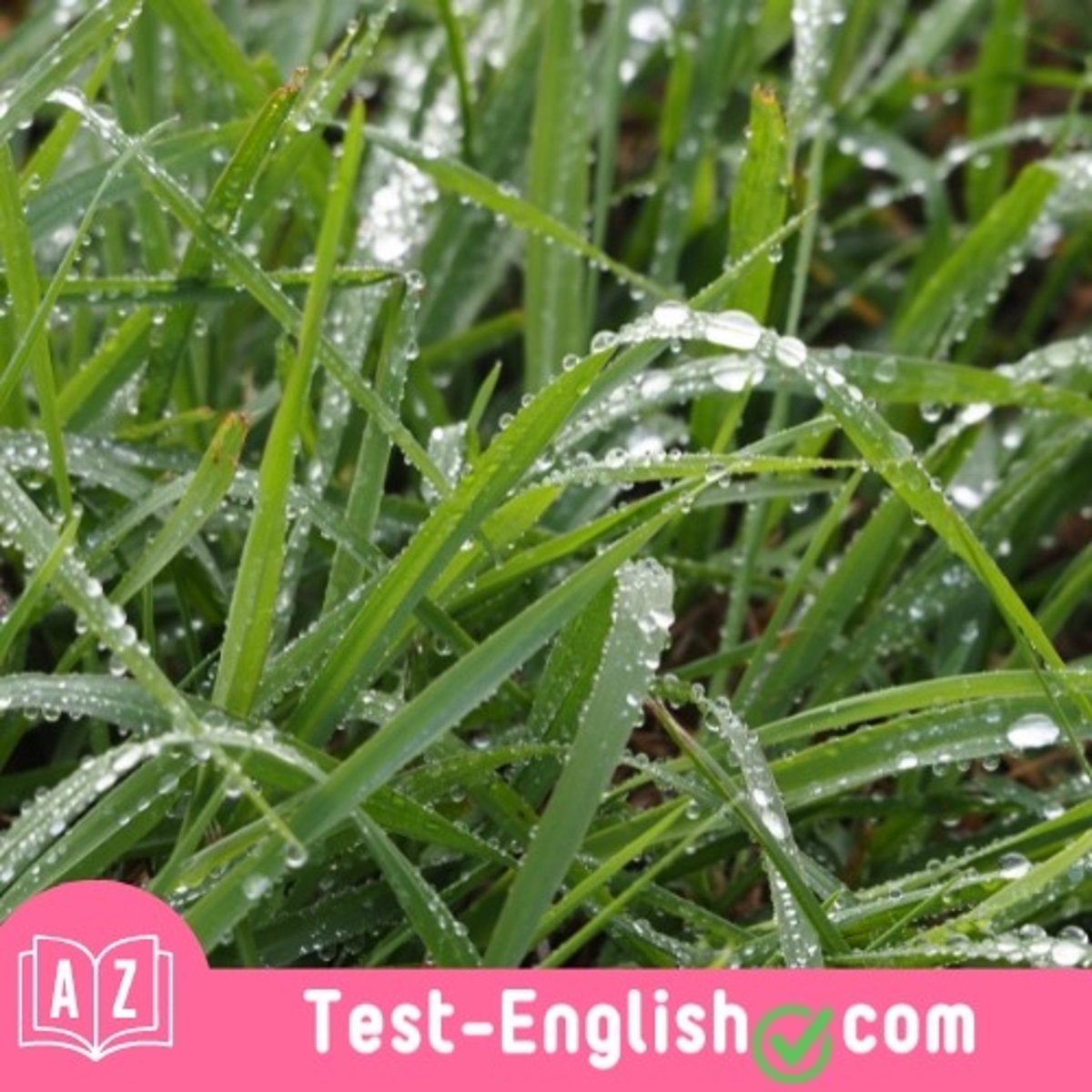 <p>We have very _____ weather in spring. It's always raining.</p>