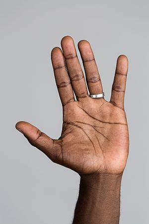 <p>hand</p>