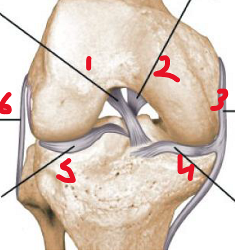 <p>1</p>