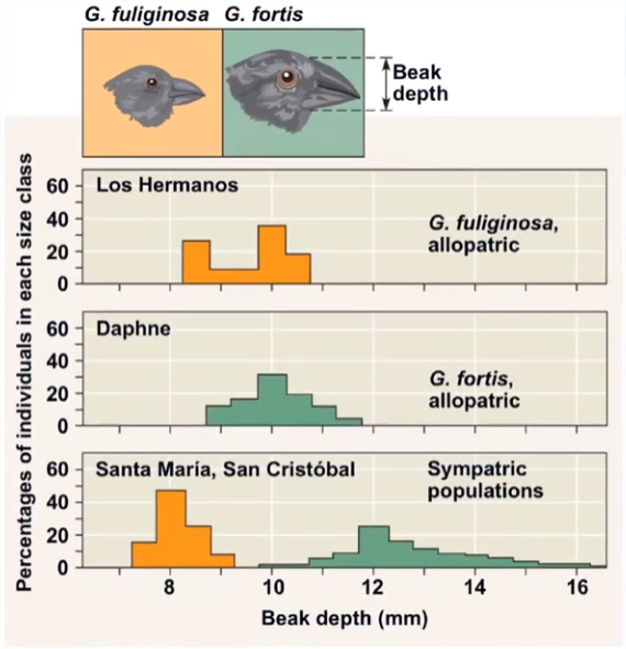 <p>what is this an example of?</p>
