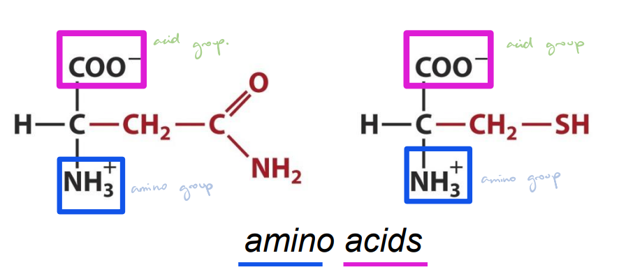 <ul><li><p>Soluble in water. </p></li></ul><p></p>