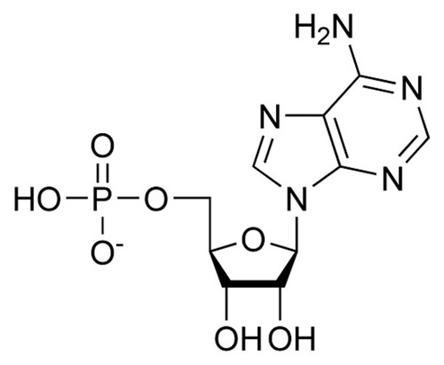 <p>a type of nucleic acid consisting of nucleotide monomers with a deoxyribose sugar and the nitrogenous bases; double-stranded and helical and functions in protein synthesis and as the genome of some viruses</p>