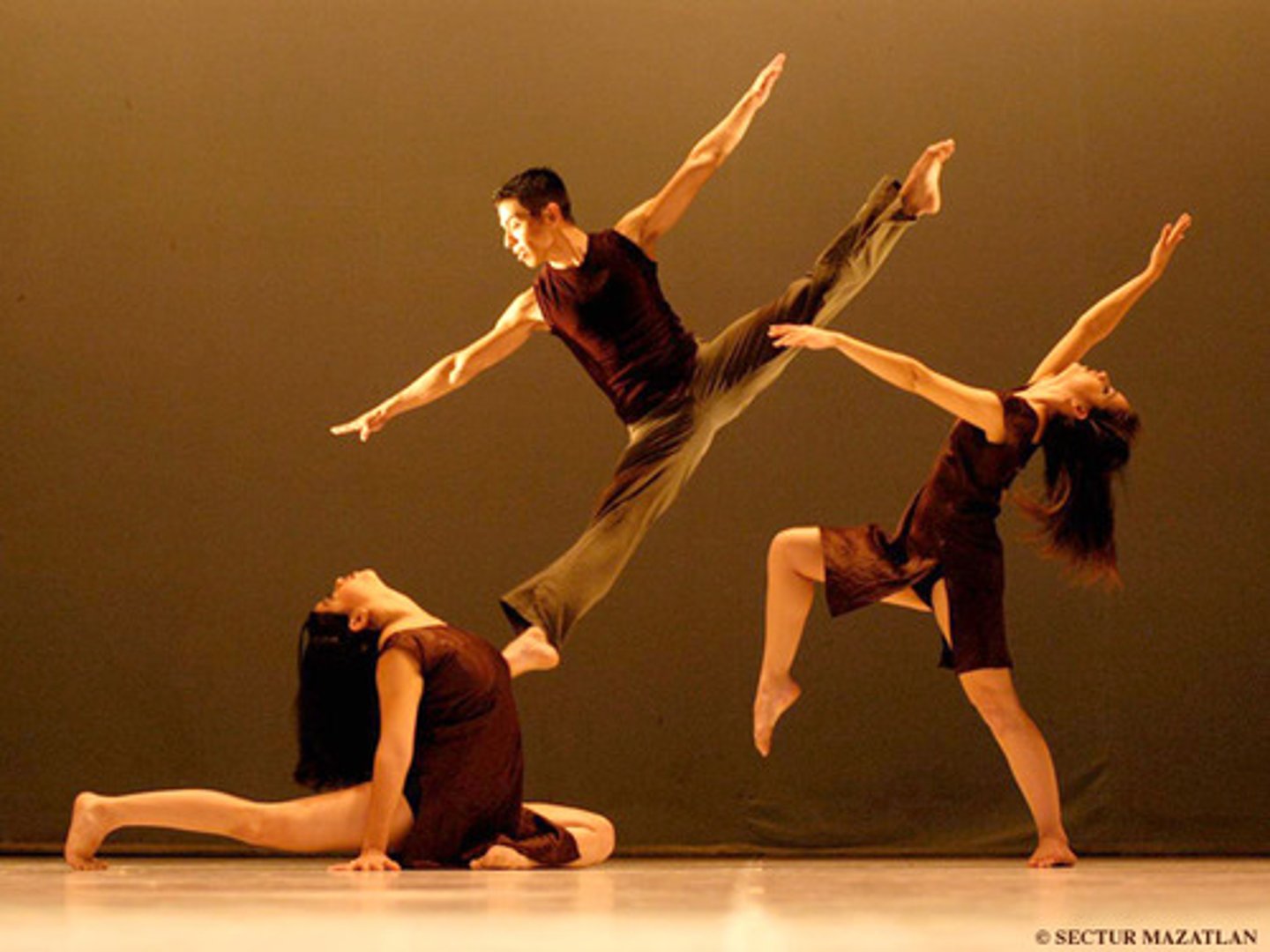 <p>choreographed</p>