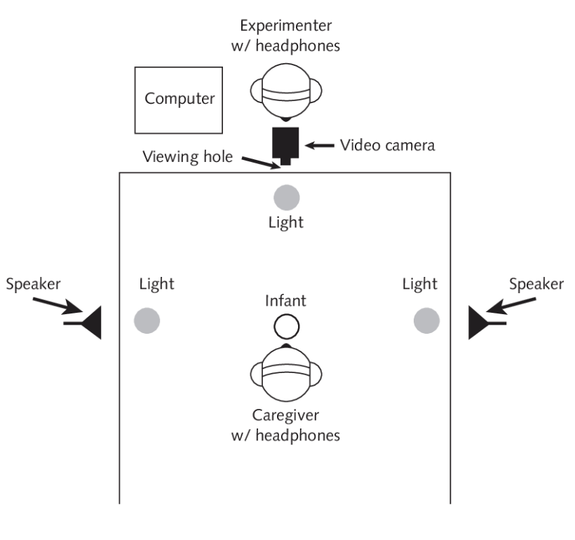 <ul><li><p><span style="background-color: transparent;"><span>Infants tend to </span><strong><span>habituate</span></strong><span> to familiar stimuli and provide shorter looking times.</span></span></p></li><li><p><span style="background-color: transparent;"><span>Infants are more likely to attend to novel stimuli, turn their head, and look longer.</span></span></p><ul><li><p>We can use this tendency to examine language development to see if children can detect differences between sounds</p></li><li><p>Playing sounds for the infant and conditioning them to expect a fun animal video when they look to the side at a novel sound. Then seeing when they look to the side</p></li></ul></li><li><p><span style="background-color: transparent;"><span>Age 10-12 months, infants lose the ability to distinguish non-native sound categories (languages) (e.g., l, r, ㄹ)</span></span></p></li></ul><p></p>