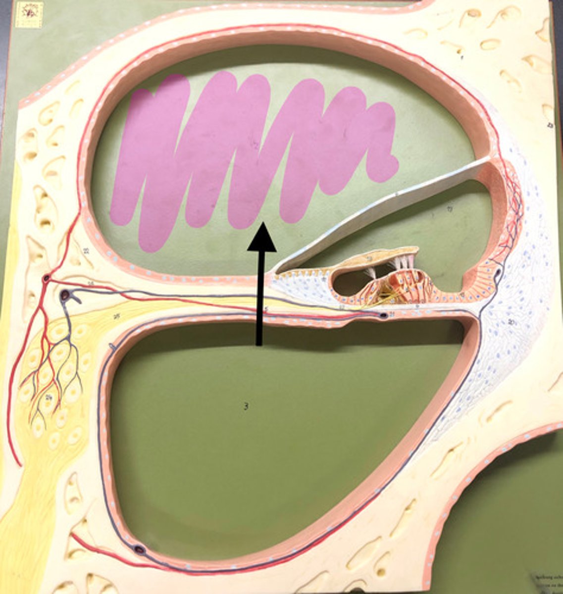 <p>Name this space</p>