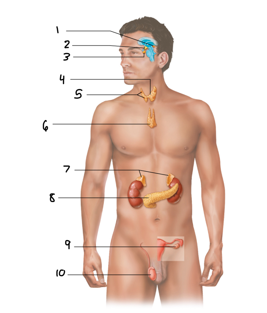 <p>5</p>