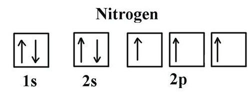 <p>states the single electrons with the same spin must occupy each equal-energy orbital before additional electrons with opposite spins can occupy the same orbitals</p>
